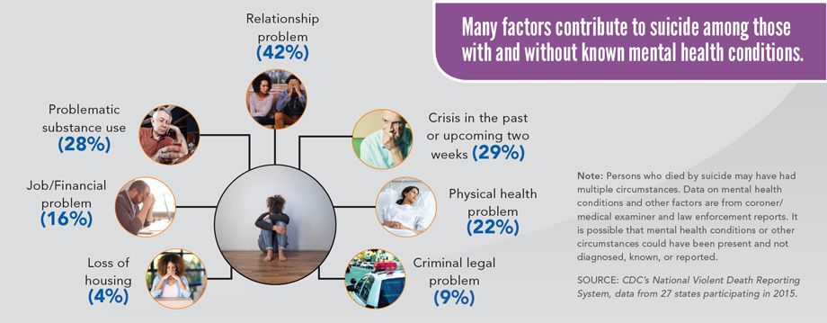 Suicide factors grafic